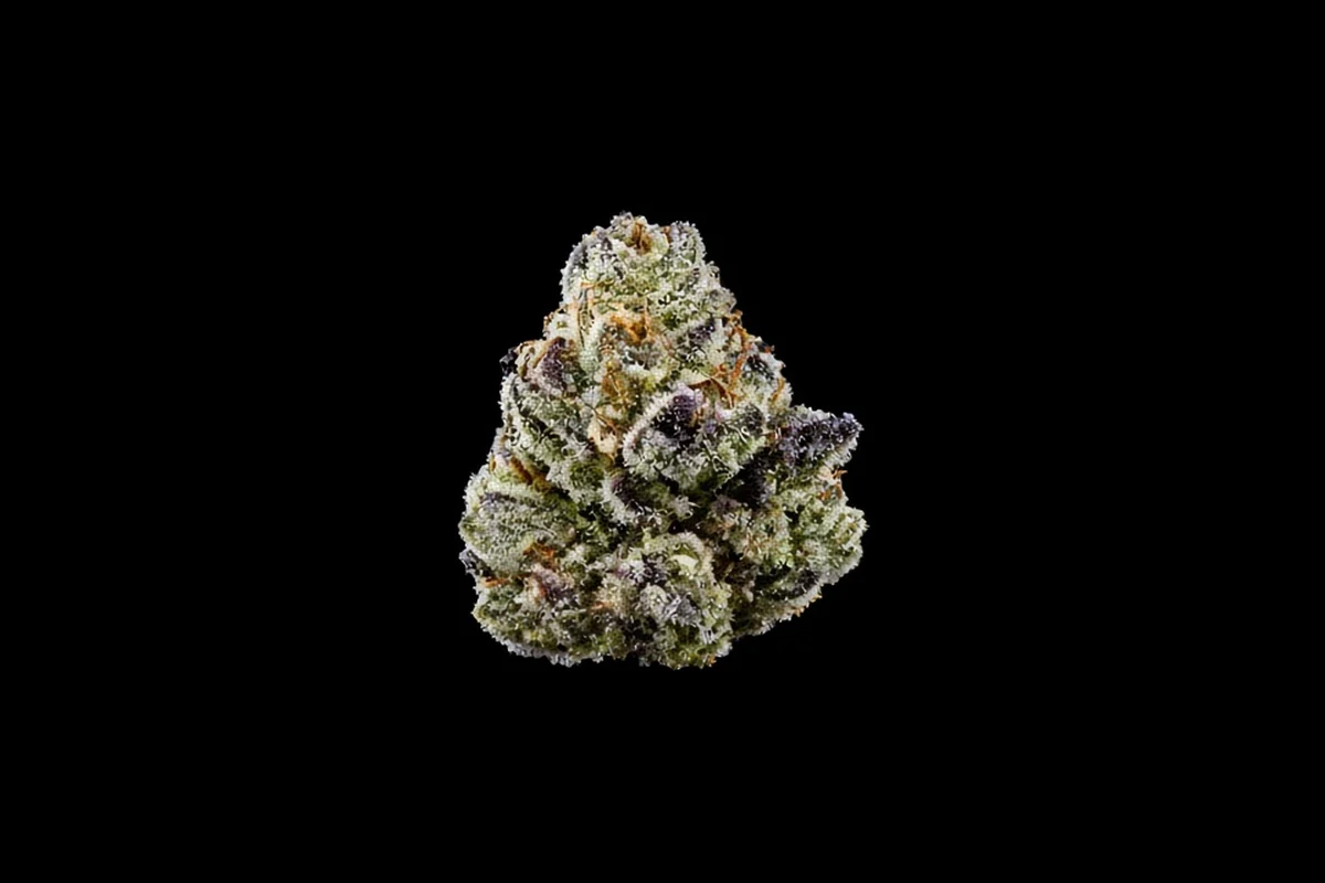 Frosty cannabis bud covered in resin, up close