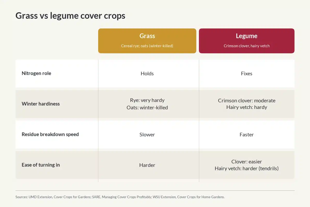 Comparison of grass and legume cover crops for garden beds.