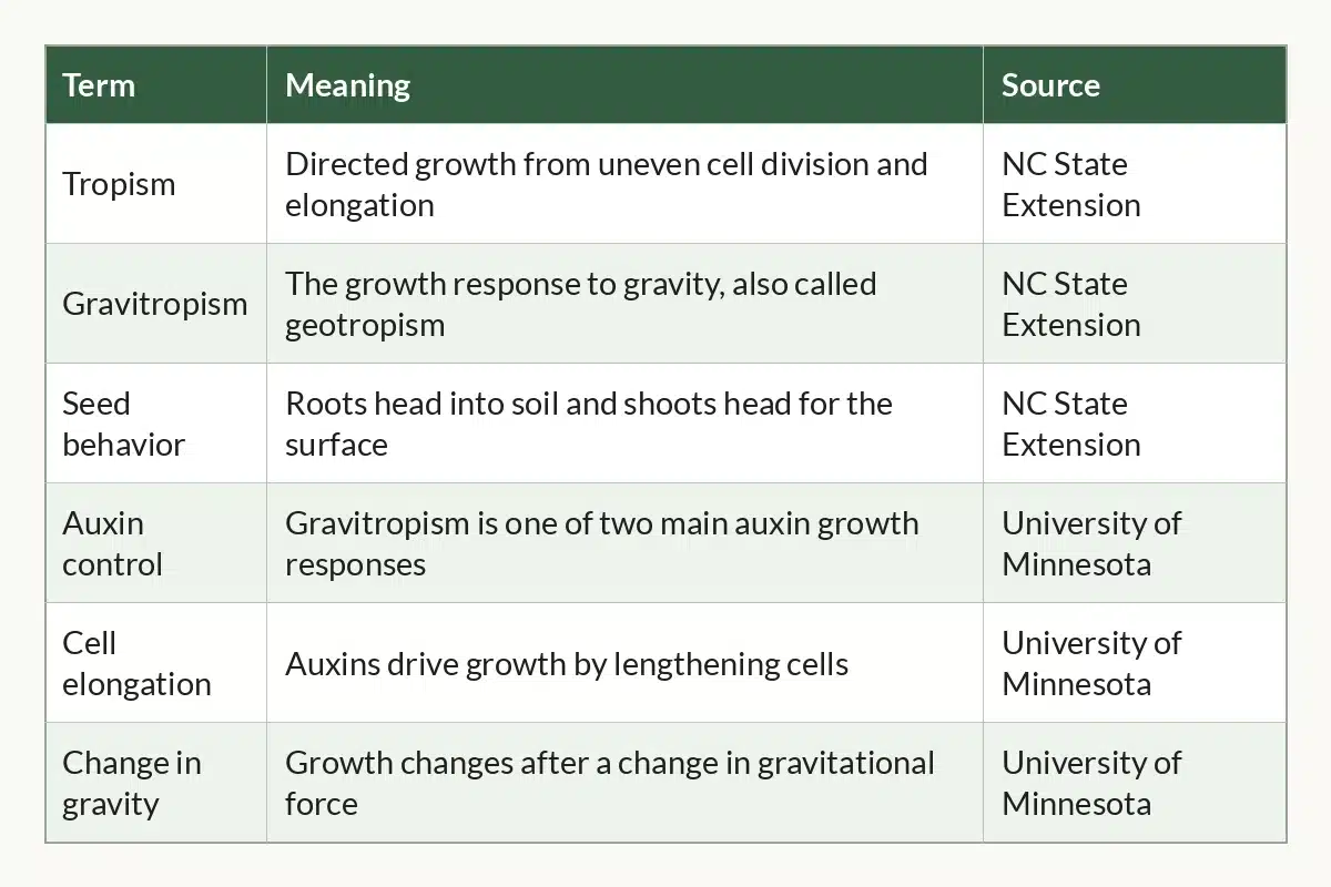 Table graphic of Cannabis Gravitropism at a Glance for cannabis growers, 6 rows by 3 columns