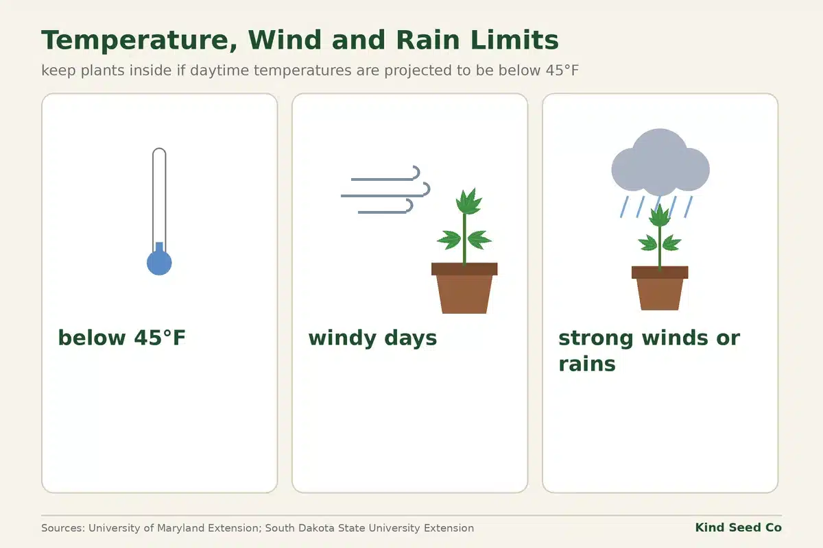 Diagram of three reasons to keep seedlings inside: temperatures below 45°F, windy days, and strong winds or rains