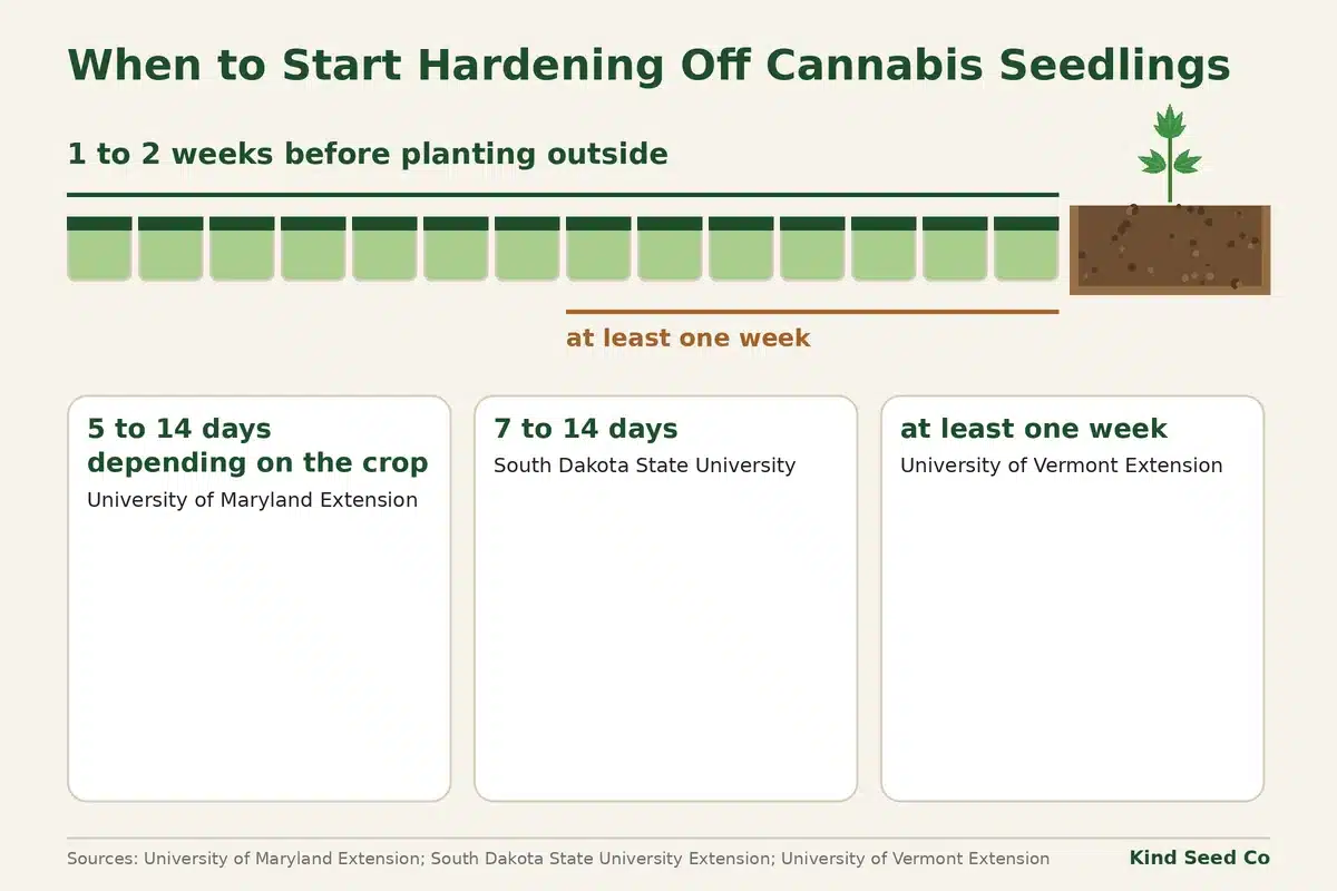 Diagram of a two-week calendar strip ending on planting day, marked 1 to 2 weeks before planting outside