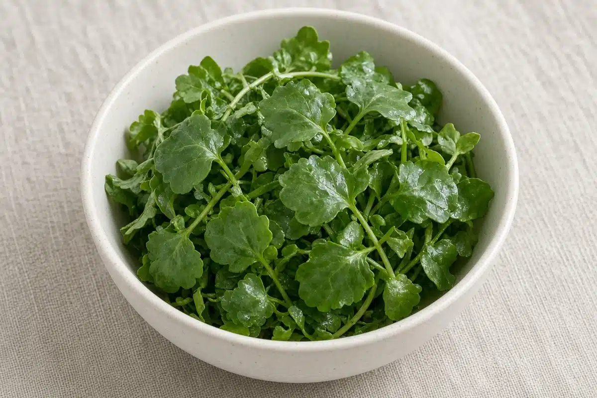 Harvested cress leaves in a bowl