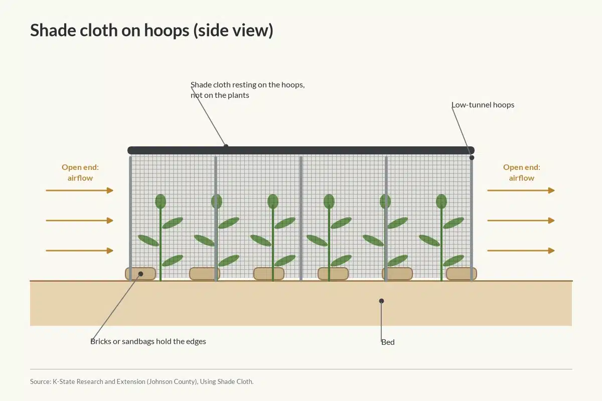 Diagram showing shade cloth on hoops above plants, held down with sandbags, with open ends for airflow.