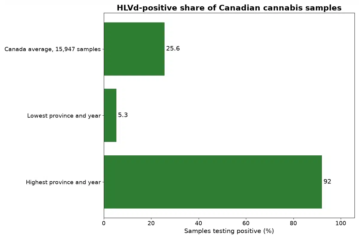 Bar chart of the share of Canadian cannabis samples that tested positive for hop latent viroid