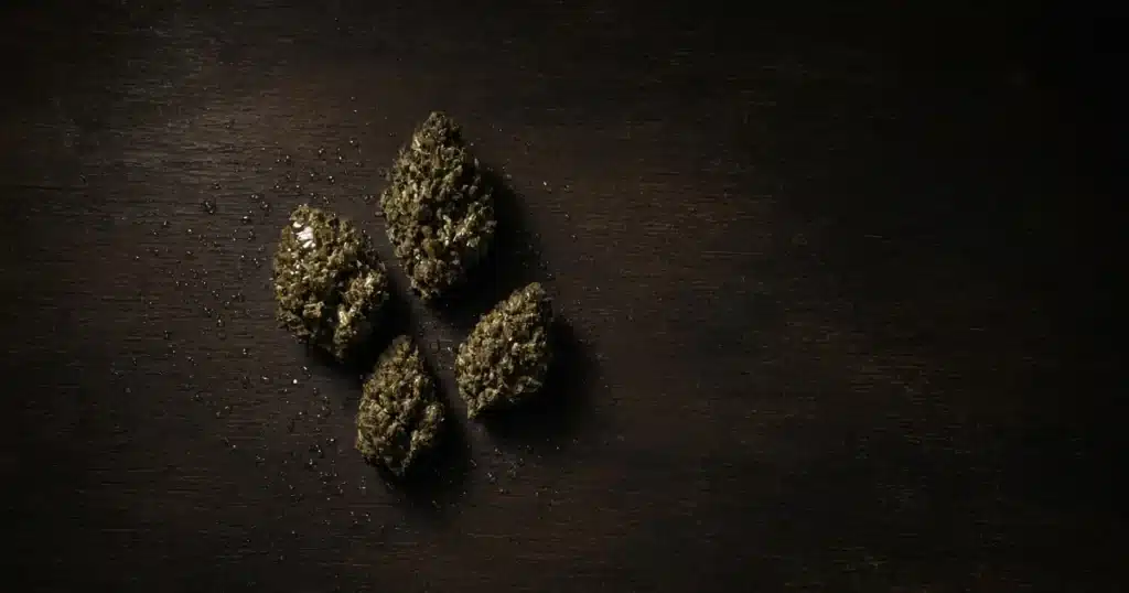 Damp cannabis buds spread out on a board to dry