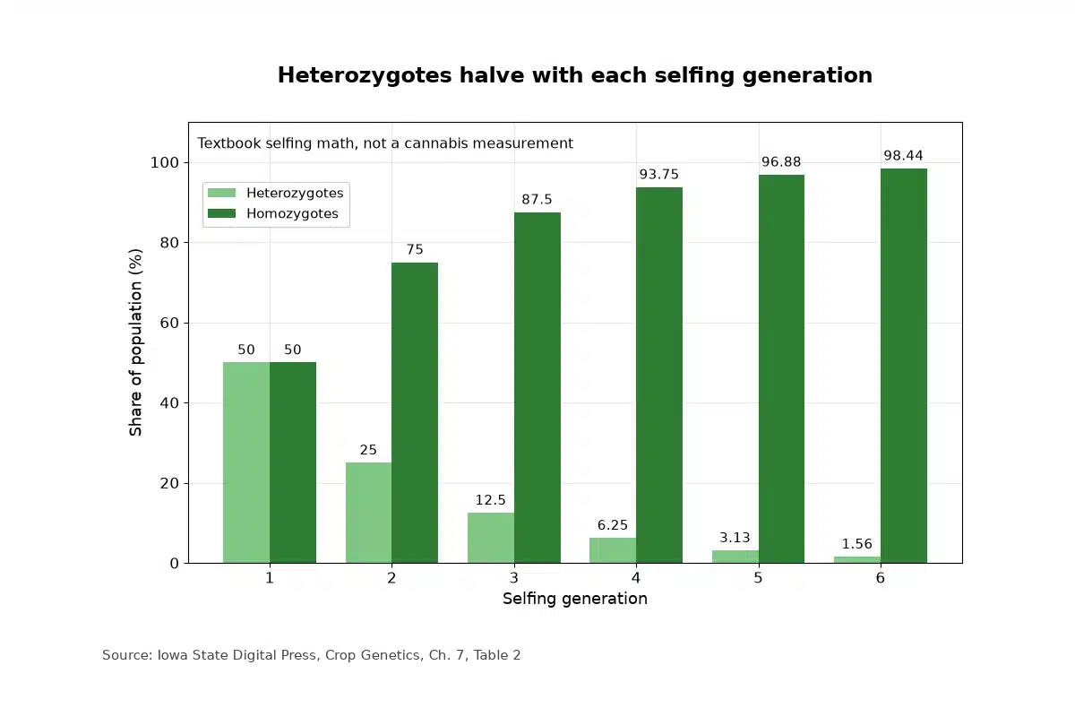 Bar chart of the share of heterozygotes falling by half each selfing generation, y axis from 0 to 100 percent