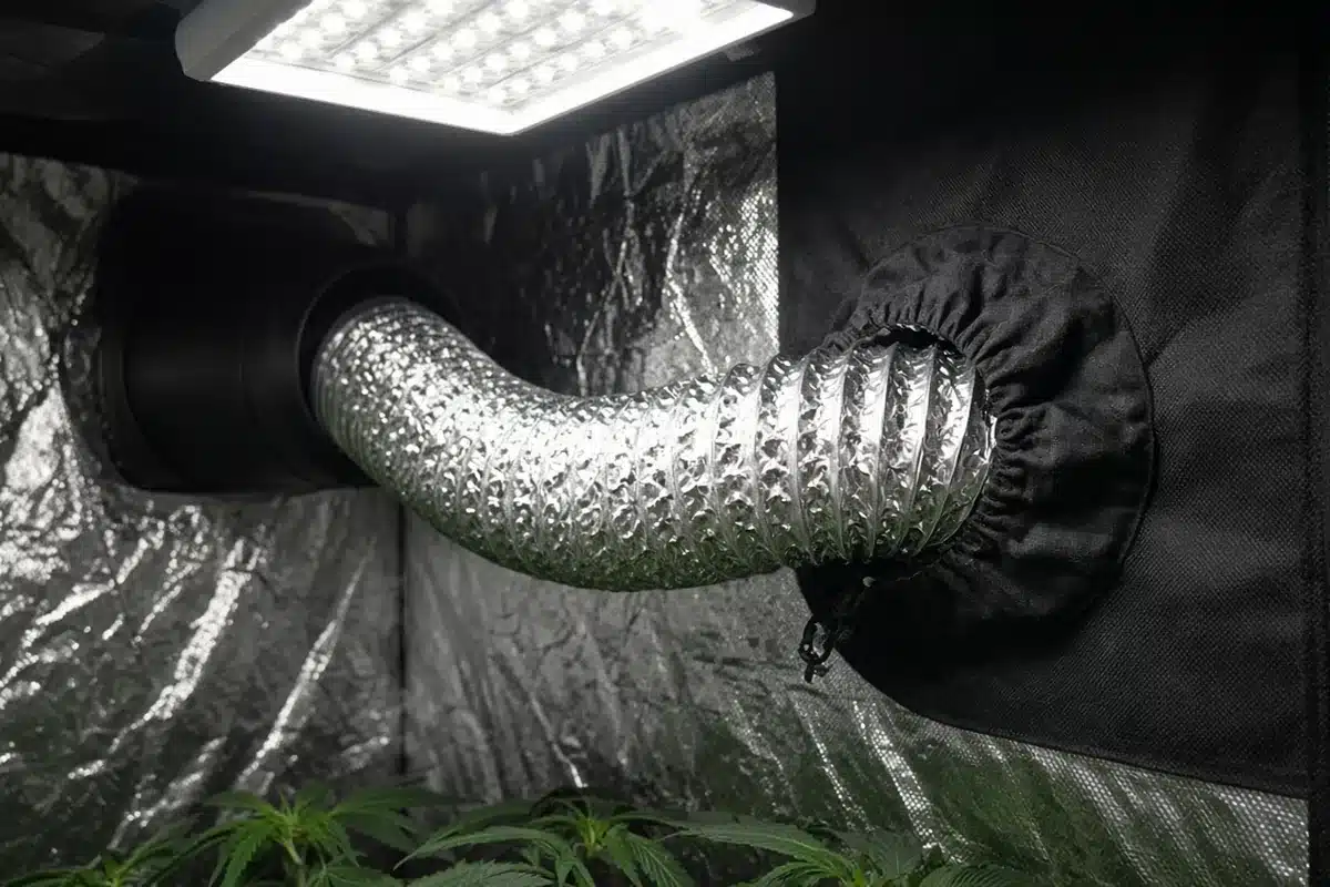 Flexible duct running from an inline fan out through a grow tent port