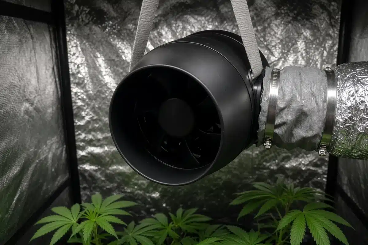 Inline fan hanging on soft straps with a short flexible connector between it and the duct inside a cannabis grow tent