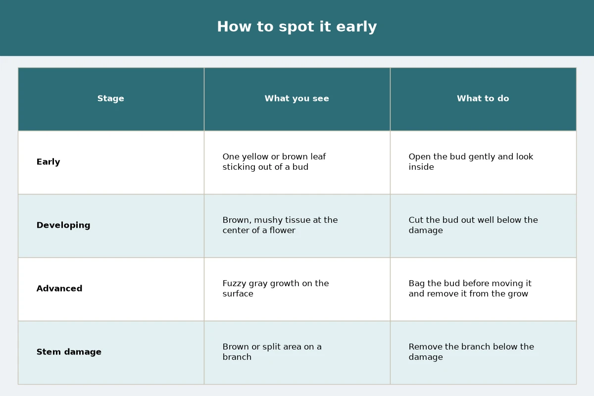 Table chart titled How to spot it early, comparing what you see, what to do for each stage