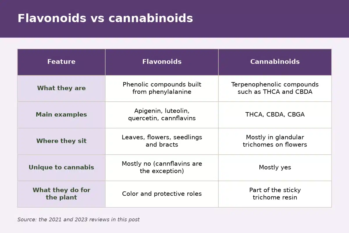 Comparison chart of flavonoids and cannabinoids by type, examples, location and role in the plant