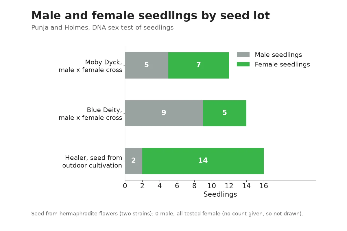 Chart of male and female seedling counts from three cannabis seed lots