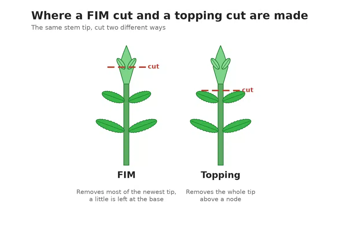 Diagram comparing where a FIM cut and a topping cut are made
