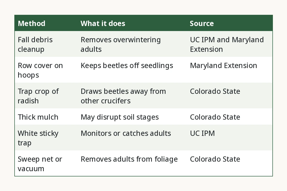 Barriers and Cultural Controls Compared. Method, What it does, Source. Fall debris cleanup, Removes overwintering adults, UC IPM and Maryland Extension. Row cover on hoops, Keeps beetles off seedlings, Maryland Extension. Trap crop of radish, Draws beetles away from other crucifers, Colorado State. Thick mulch, May disrupt soil stages, Colorado State. White sticky trap, Monitors or catches adults, UC IPM. Sweep net or vacuum, Removes adults from foliage, Colorado State.