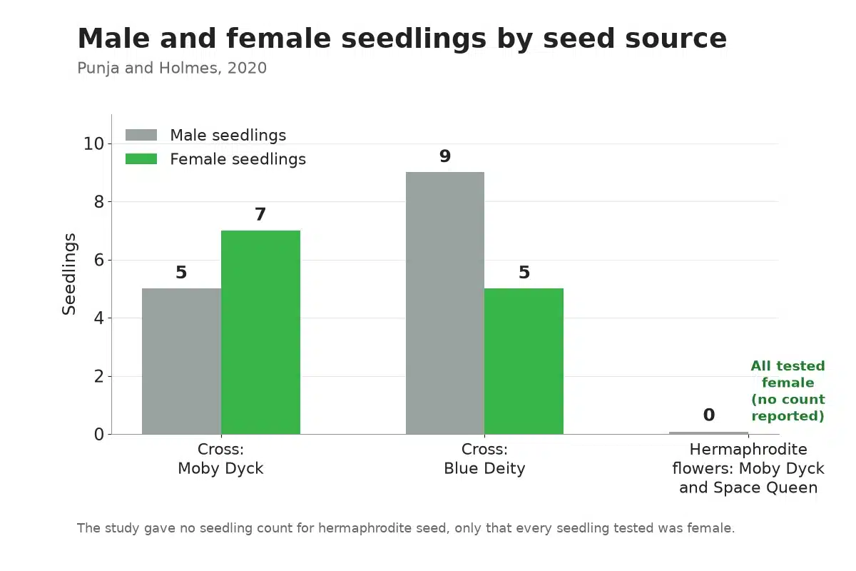 Chart of male and female seedlings from crossed seeds and from hermaphrodite seeds