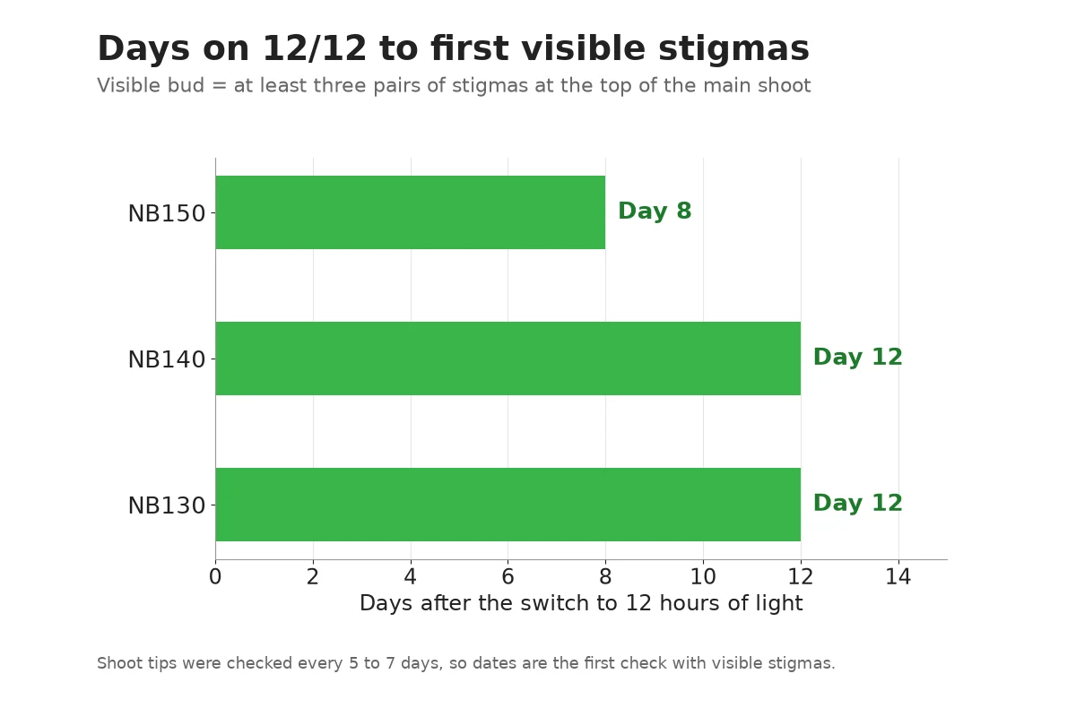 Chart of days after the switch to 12 hour light until buds first showed in three cannabis cultivars
