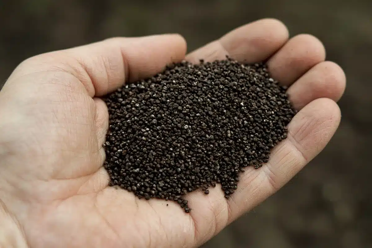 Granular garden soil with a texture like coffee grounds