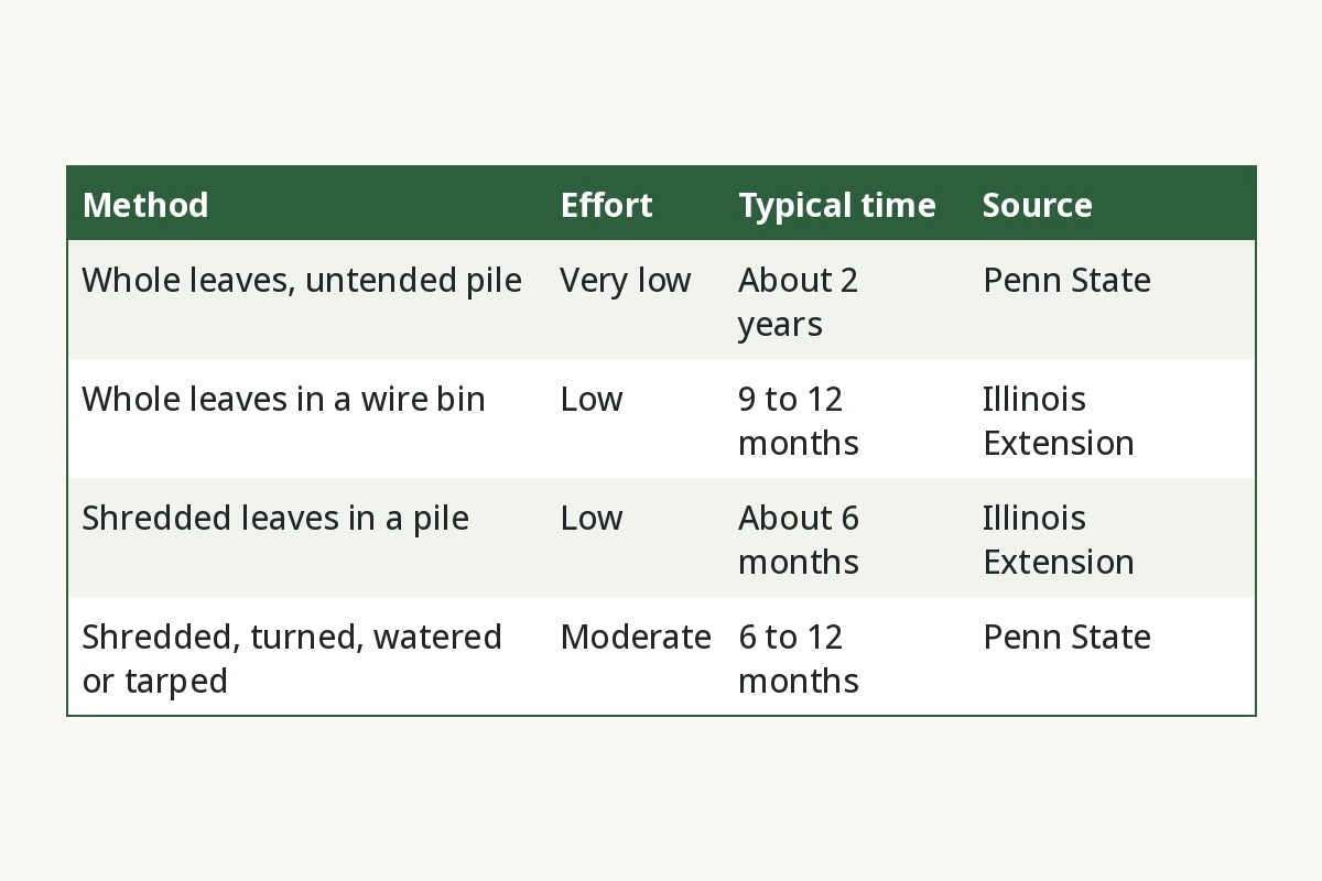How Long Does Leaf Mold Take? Method, Effort, Typical time, Source. Whole leaves, untended pile, Very low, About 2 years, Penn State. Whole leaves in a wire bin, Low, 9 to 12 months, Illinois Extension. Shredded leaves in a pile, Low, About 6 months, Illinois Extension. Shredded, turned, watered or tarped, Moderate, 6 to 12 months, Penn State.