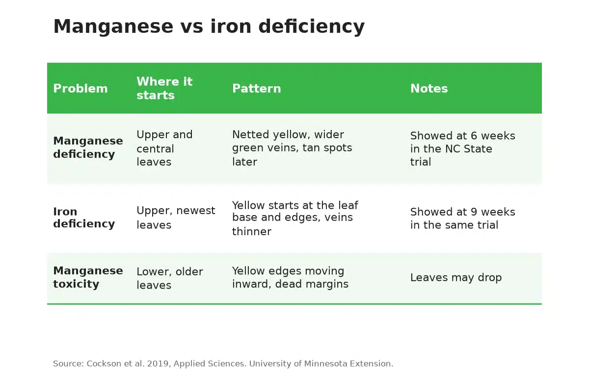 Table comparing manganese deficiency, manganese toxicity and iron deficiency in cannabis