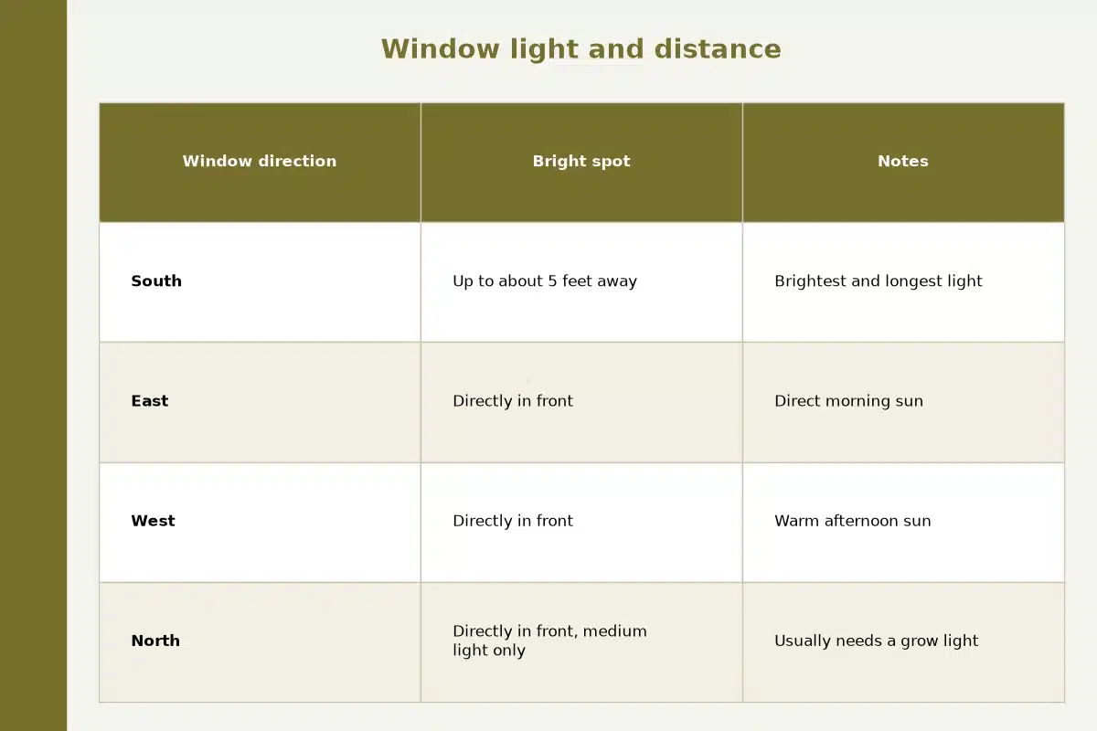 Table chart titled Window light and distance, comparing bright spot, notes for each window direction