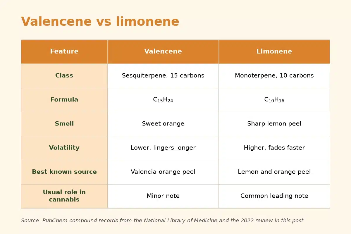 Comparison chart of valencene and limonene by class, formula, smell, volatility, source and role