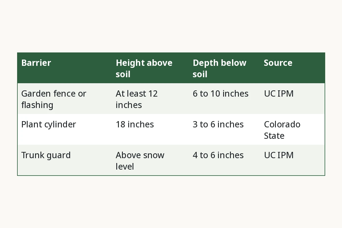 Vole Barriers at a Glance. Barrier, Height above soil, Depth below soil, Source. Garden fence or flashing, At least 12 inches, 6 to 10 inches, UC IPM. Plant cylinder, 18 inches, 3 to 6 inches, Colorado State. Trunk guard, Above snow level, 4 to 6 inches, UC IPM.