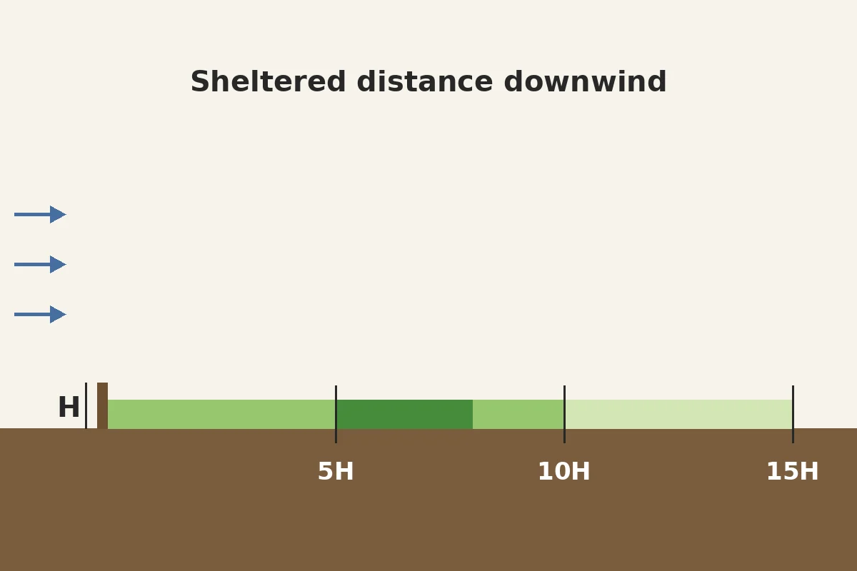 Diagram of a windbreak showing sheltered distance measured in multiples of its height