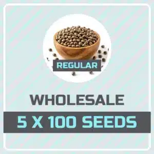 Kind Seed Co regular mix pack of 500 cannabis seeds, 5 strains x 100 seeds