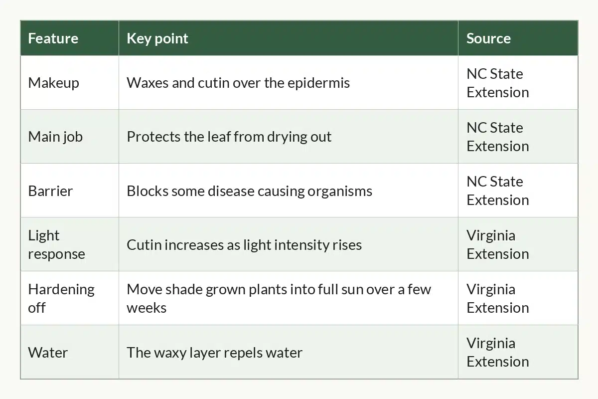 Table graphic of Cannabis Leaf Cuticle at a Glance for cannabis growers, 6 rows by 3 columns