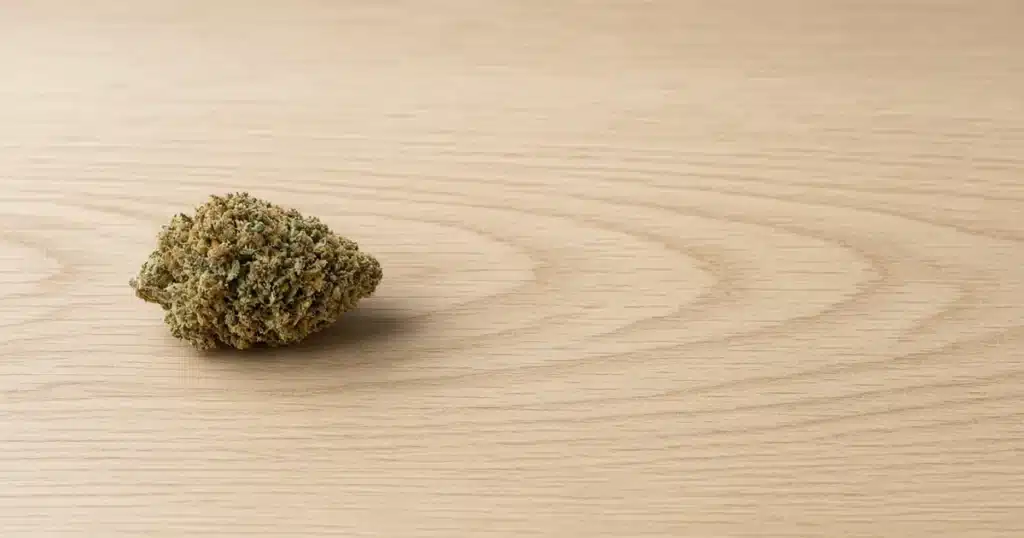 Cannabis bud alone on a clean table under soft light