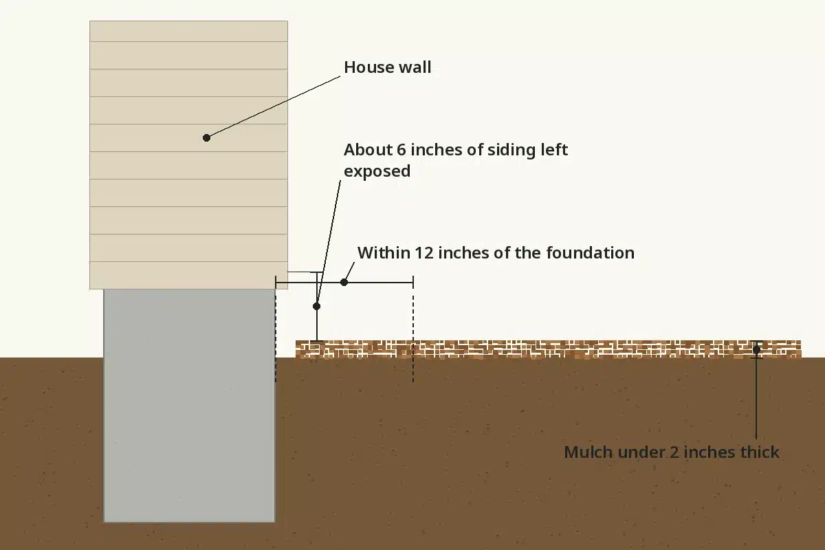 Cross section of a house wall showing mulch under 2 inches thick within 12 inches of the foundation and about 6 inches of exposed siding for inspection