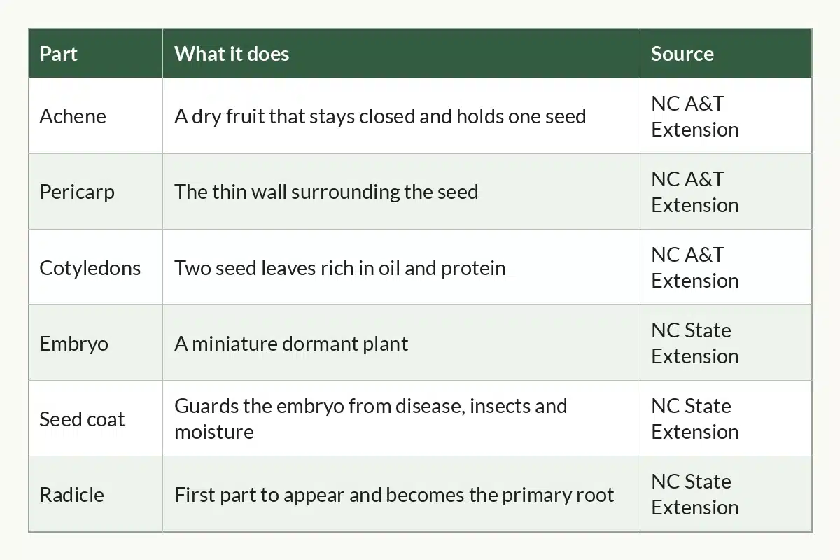 Table graphic of Cannabis Seed Anatomy at a Glance for cannabis growers, 6 rows by 3 columns