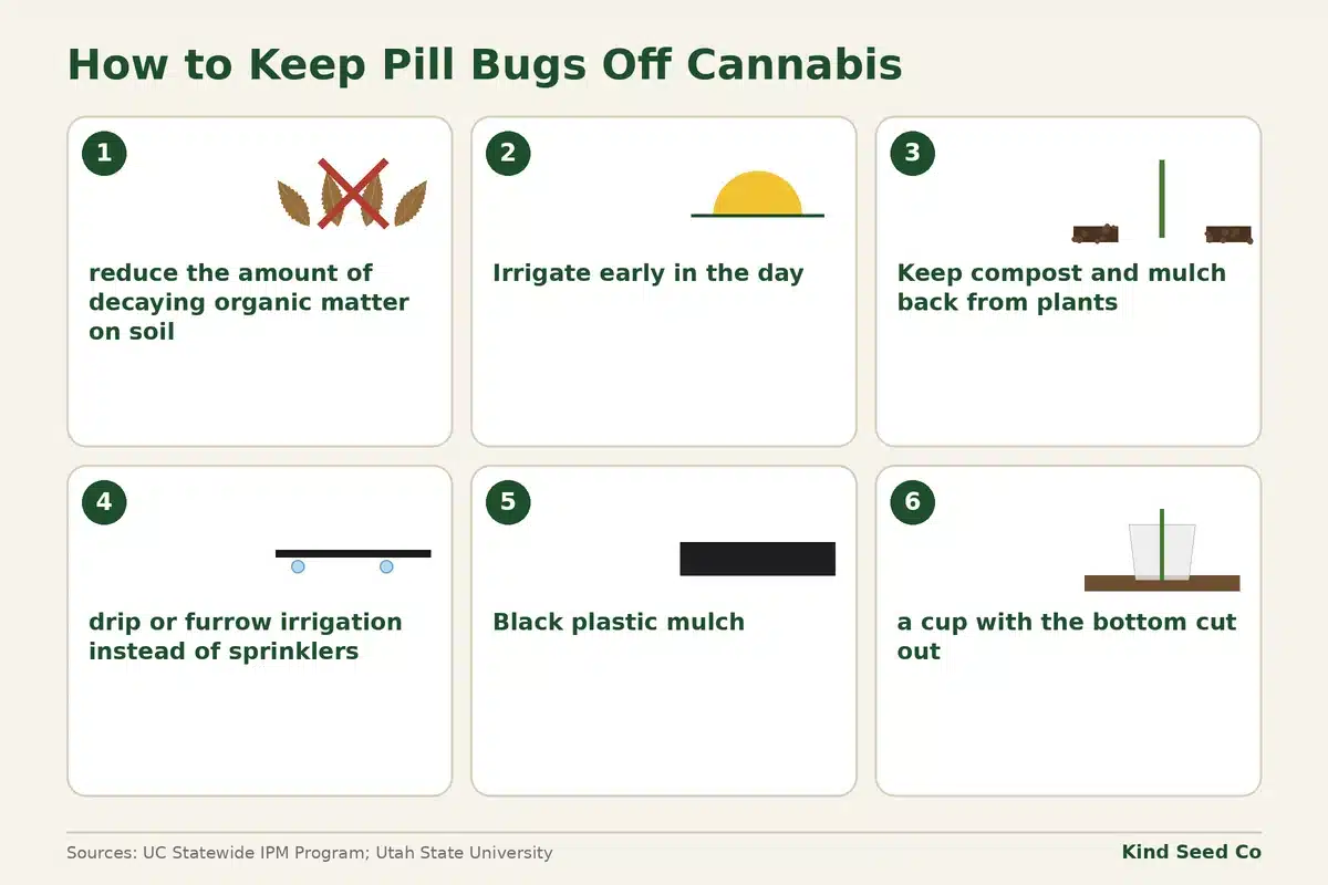 Diagram of six ways to keep pill bugs off cannabis, from drying the soil surface to cup collars around seedlings