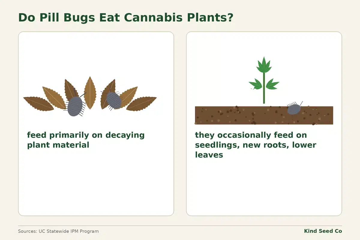 Diagram of what pill bugs eat: mostly decaying plant material, sometimes seedlings, new roots and lower leaves