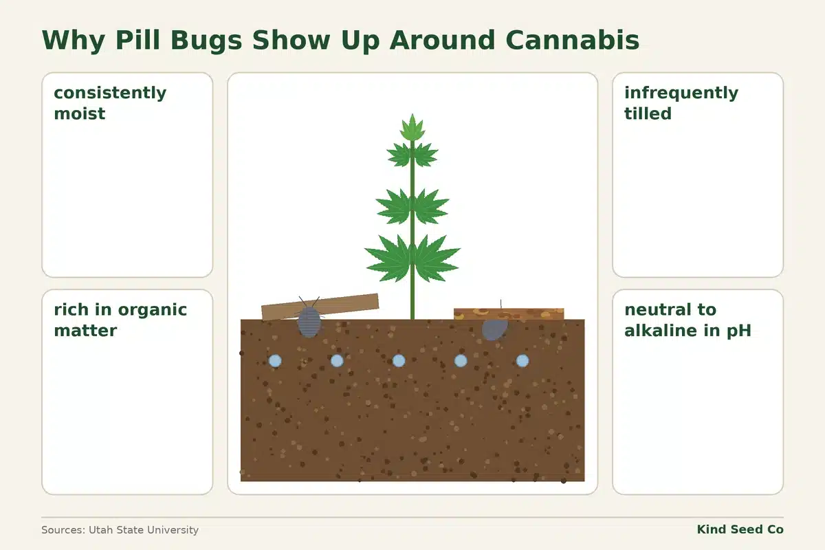 Diagram of a garden bed with four conditions that build up pill bugs: moisture, organic matter, little tillage, pH