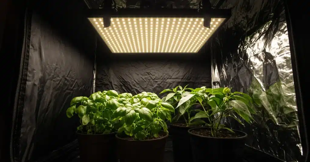Flat LED quantum board hanging over a small tent of plants