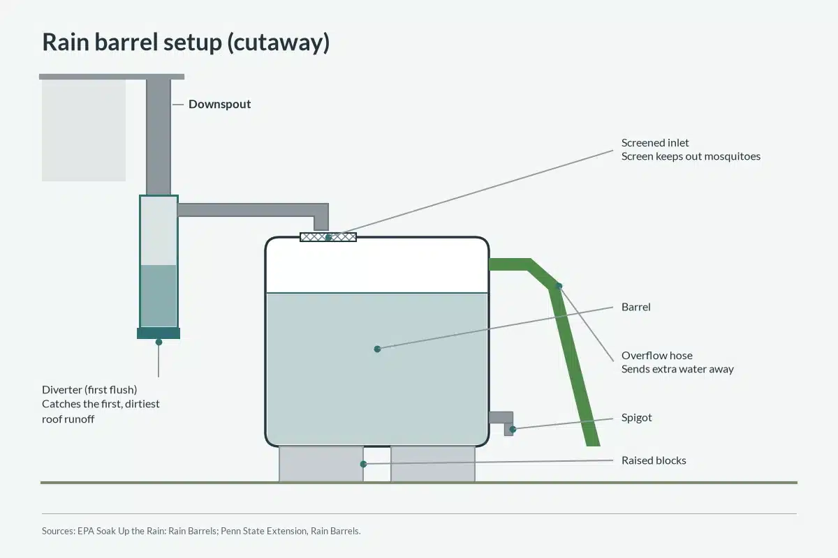 Cutaway diagram of a rain barrel with screen, overflow and first-flush diverter.