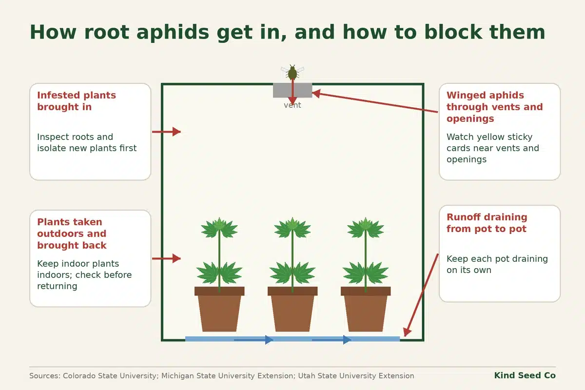 Diagram of a grow room showing four ways root aphids get in, each paired with a way to block it