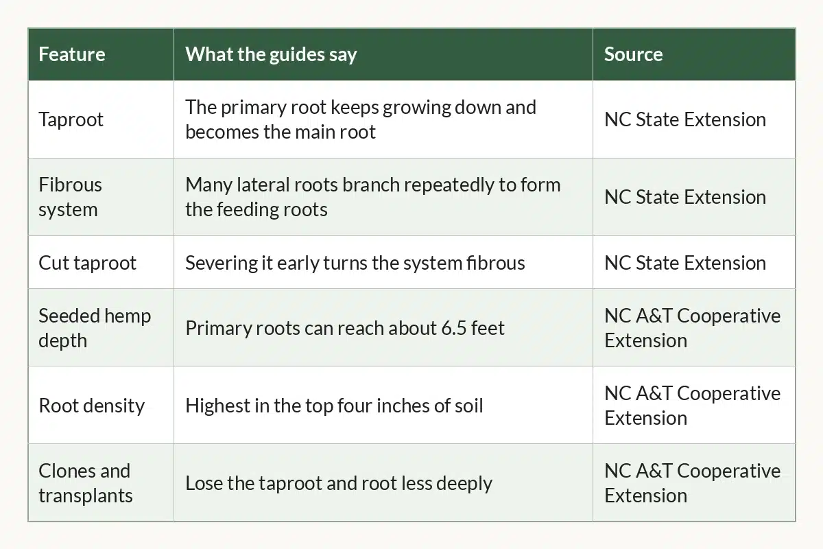 Table graphic of Taproot vs Fibrous Roots at a Glance for cannabis growers, 6 rows by 3 columns