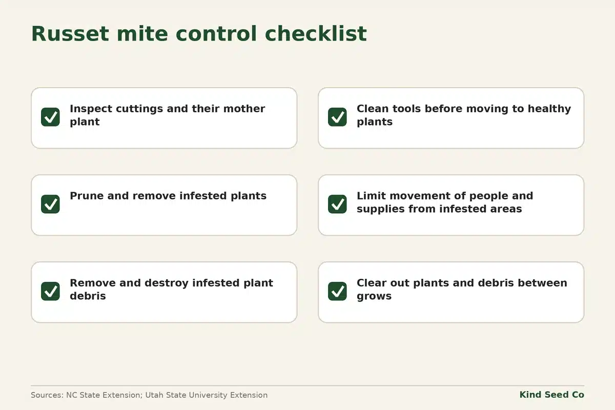 Checklist diagram of six russet mite control steps, from inspecting cuttings to clearing plants and debris between grows