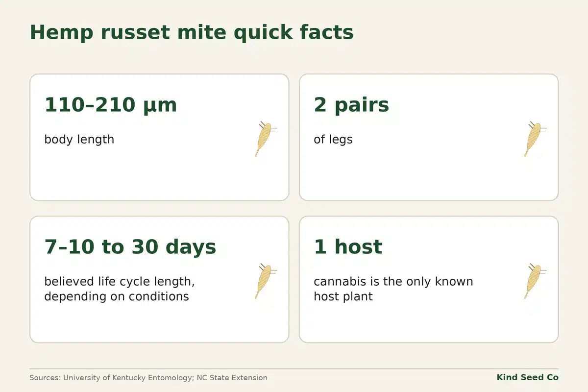 Hemp russet mite fact card: 110–210 microns, two pairs of legs, 7–10 to 30-day life cycle, cannabis the only known host