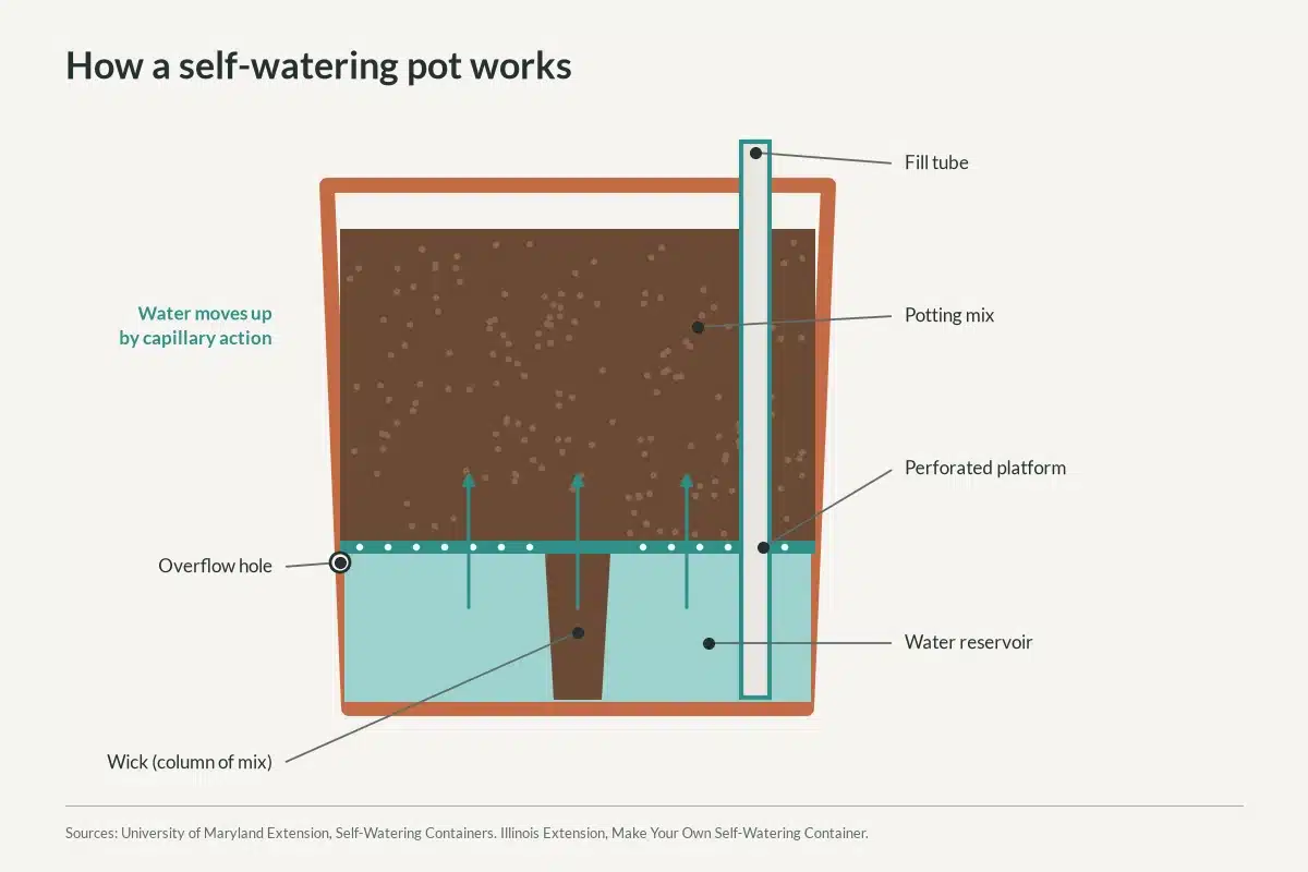 Cutaway diagram of a self-watering pot showing the reservoir, perforated platform, wick, fill tube and overflow hole.