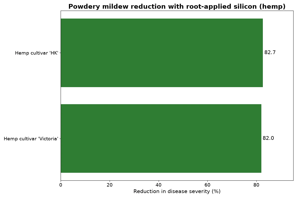Bar chart of powdery mildew severity reduction with root-applied silicon in two hemp cultivars, 82.7 and 82.0 percent