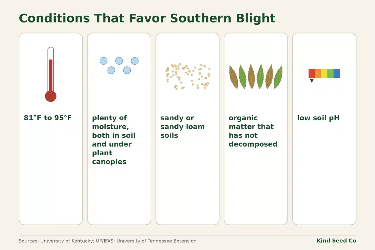 Diagram of conditions that favor southern blight: 81°F to 95°F, moisture, sandy soils, fresh organic matter, low pH