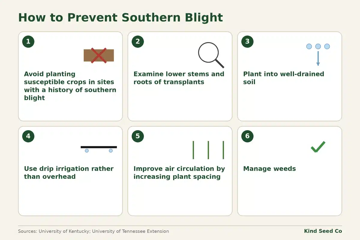 Diagram of six southern blight prevention steps for hemp and cannabis, from site history to managing weeds