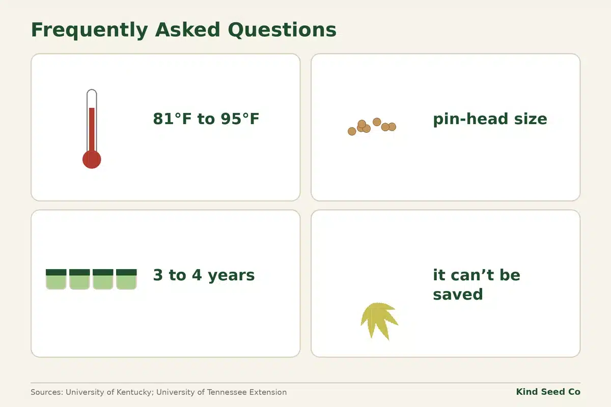 Southern blight fact card: 81°F to 95°F, pin-head-size sclerotia, 3 to 4 years of rotation, infected plants can’t be saved