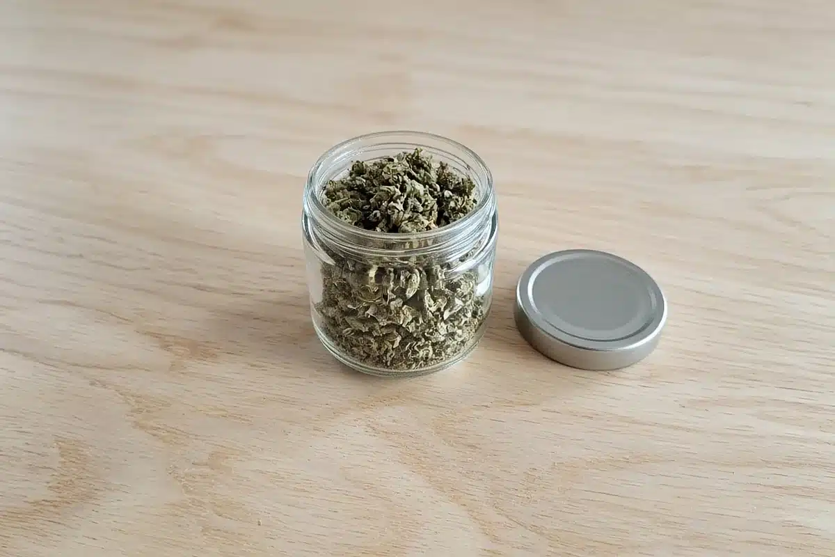 Sugar leaf trim collected in a glass jar