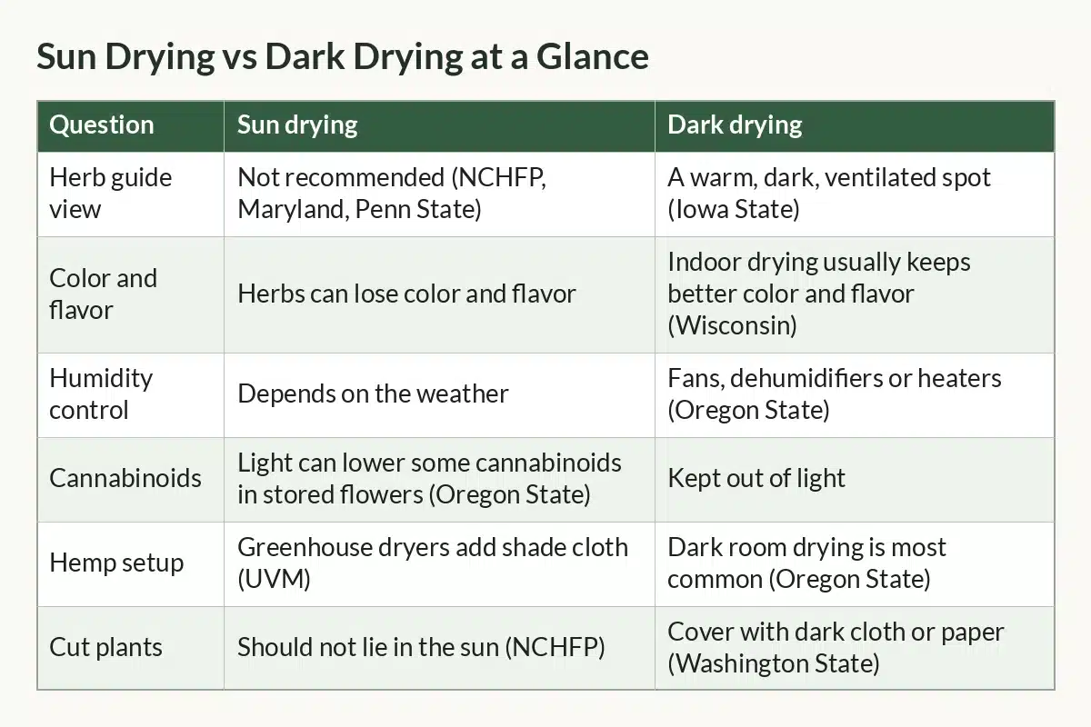Table graphic of Sun Drying vs Dark Drying at a Glance with columns Question, Sun drying, Dark drying and 6 rows