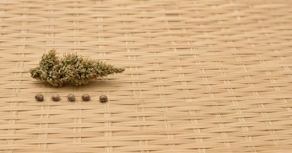 Long airy sativa bud and a few seeds on a woven bamboo mat
