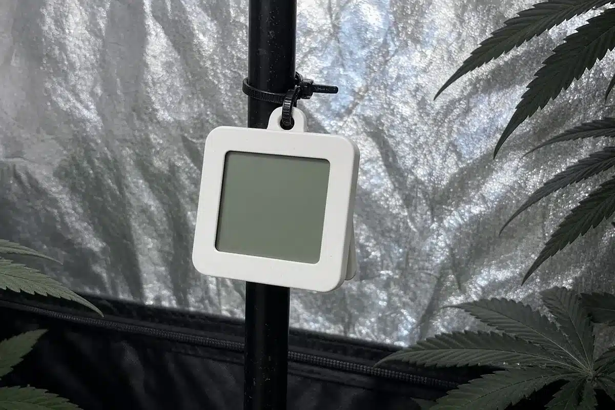 Thermometer-hygrometer hanging in a grow tent
