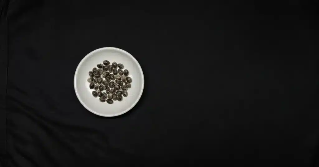 Cannabis seeds in a small white dish on a grow tent floor